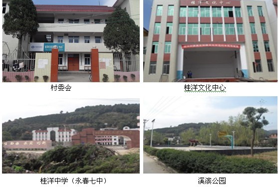 永春縣桂洋鎮桂洋村